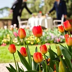 Hotel Cipriani 5*